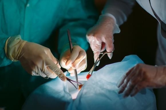 Olanda: Toți adulții, înregistrați ca donatori de organe
