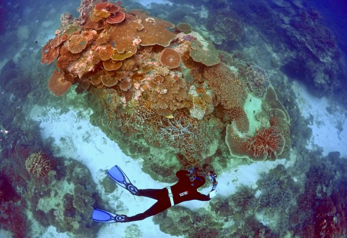 Ученые: Морские экосистемы не переживут глобальное потепление.