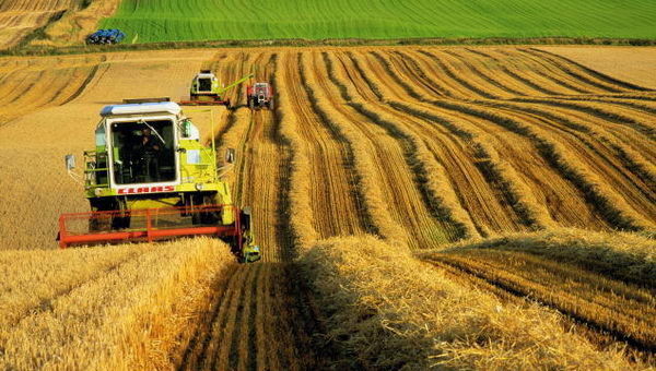 Consiliului raional Dubăsari va primi bani pentru terenuri agricole
