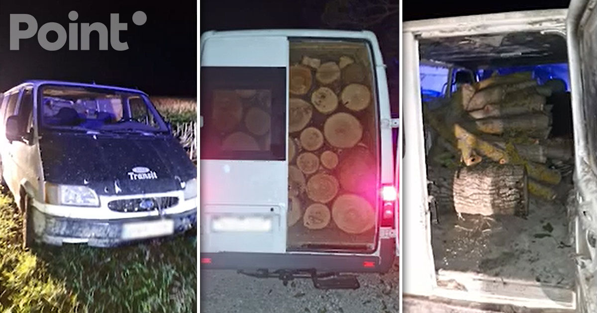 Două scheme de transportarea ilegală a lemnului la Leova, destructurate.
