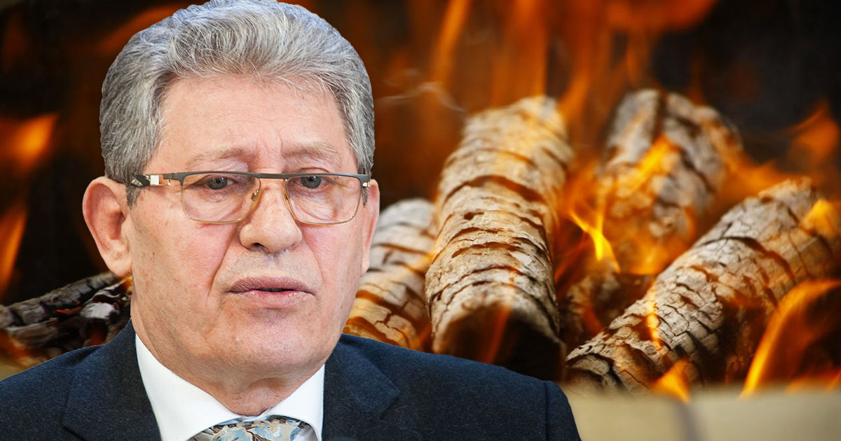 Гимпу: Не топлю дровами, чтобы был запас на случай полного отключения газа. Коллаж: Point.md