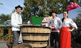La Comrat, s-a desfăşurat Festivalul Vinului - 2012