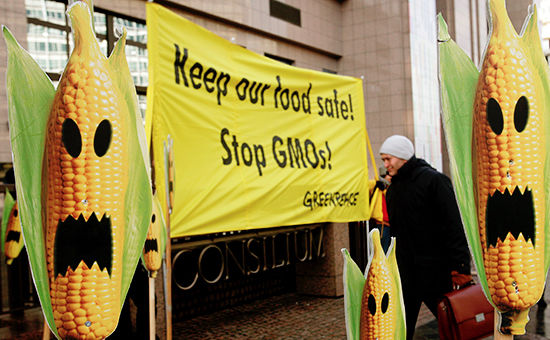 В Greenpeace считают ГМО небезопасным. Фото: epa.eu