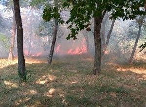 На Скулянке произошло возгорание растительности.