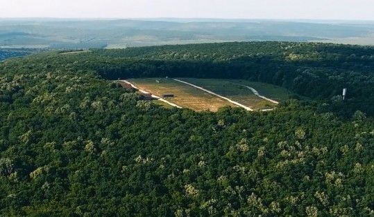 Republica Moldova riscă să piardă peste 220 de ha de pădure. Foto: rise.md