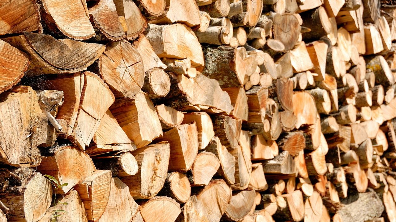 Муниципальное предприятие отчиталось о том, что делают со срубленными в Бельцах деревьями.