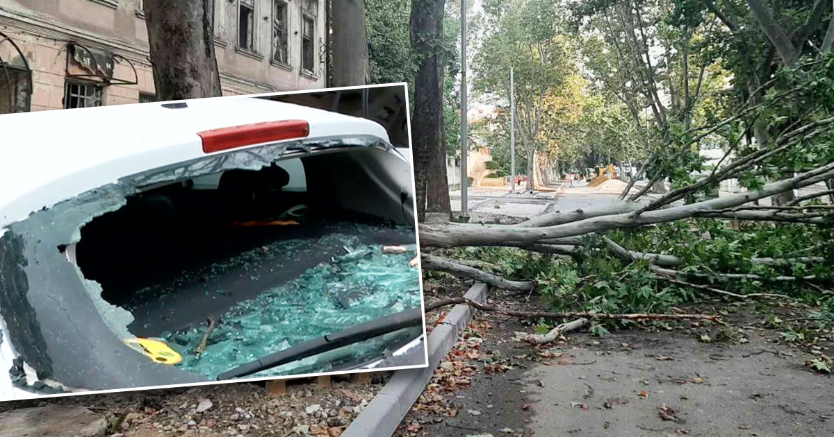 Из-за непогоды повреждены сотни авто: адвокаты дали рекомендации. Коллаж: Point.md