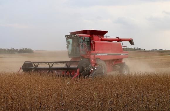 România, în topul producătorilor de cereale din UE.