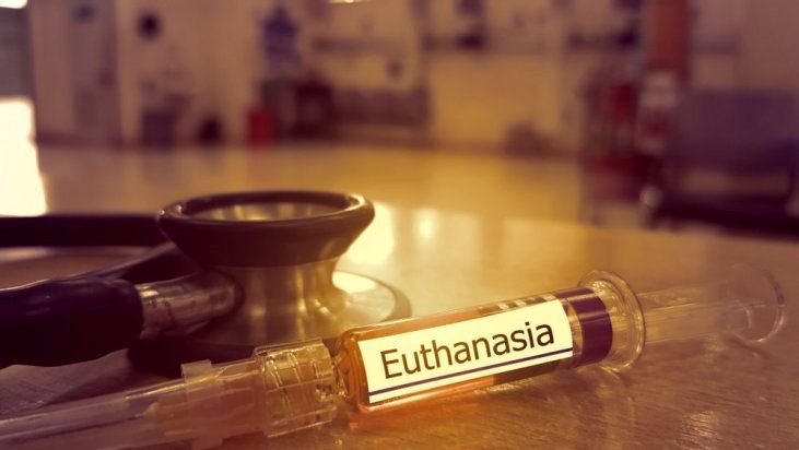 Власти Германии изучат решение суда разрешить эвтаназию.