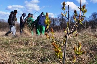 250 de mii de puieţi vor fi plantaţi de Ziua Naţională de Înverzire a Plaiului. Foto: ziaruldinmuscel.ro