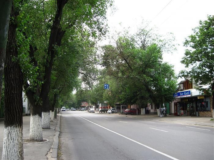 Pe strada Vasile Alecsandri vor fi amenajate piste pentru bicicliști. Foto: wikimapia.org