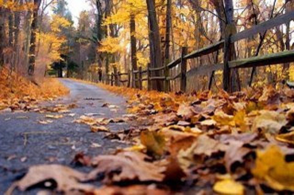Temperaturi de primăvară în zile cu Cod Galben de vânt'. Foto: timisoaraonline.ro