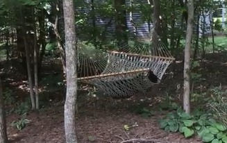 В США женщина сняла на видео отдыхающего в ее гамаке медведя.