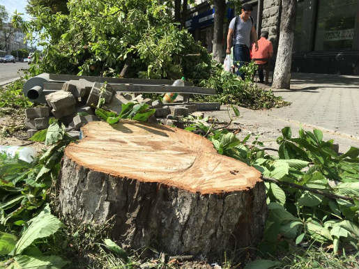 Заместитель примара города Нистор Грозаву уже подписал в связи с этим распоряжения. 