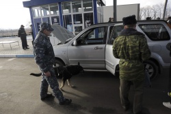 В криминальную группировку, занимавшуюся незаконным ввозом автомобилей из Европы, не входят сотрудники госучреждений.