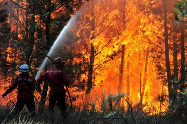 Turiştii aflaţi în vacanţă au fost cei mai afectaţi de evacuări. Oamenii au lăsat distracţia laoparte şi au încercat să stingă flăcările.