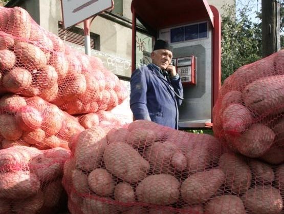 De la începutul lunii aprilie, preţul cartofilor a explodat: angro.
