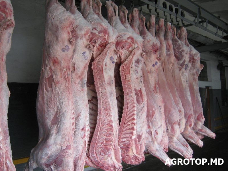 Россия - крупнейший потребитель молдавского мяса. В первом полугодии его общий экспорт составил $7,9 млн., половина пришлась на Россию. Фото: agrotop.md