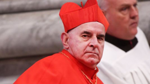 Declaraţia cardinalului ridică posibilitatea ca aceste activităţi sexuale nedefinite pe care le-a recunoscut să nu se rezume doar la faptele cunoscute.
