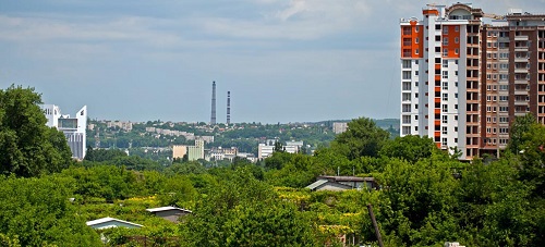 Ученые Ботанического сада выразили обеспокоенность в связи с уничтожением зеленных зон в столице. Фото: avganez.livejournal.com