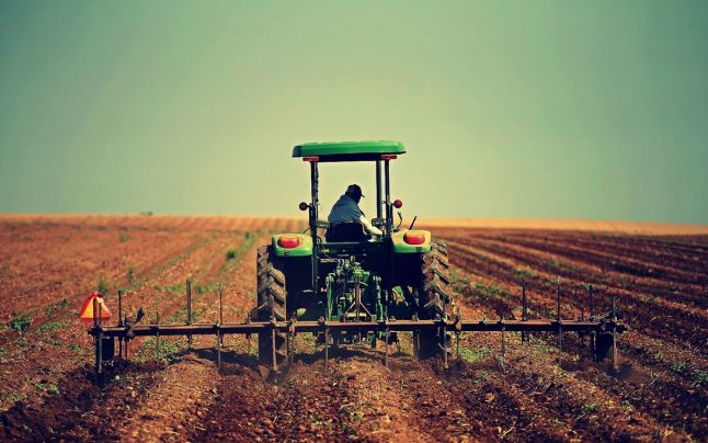Soia, sorg, nuci, alune sau miere, acestea sunt produsele la mare căutare în Uniunea Europeană. Foto: Guliver/ Getty Images