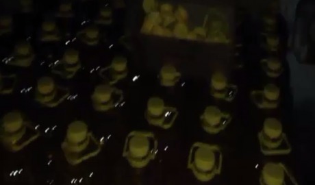 Poliţia Capitalei a descins la o întreprindere privată de prelucrare a uleiului aflată pe strada Uzinelor din capitală.