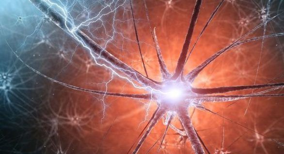 A fost descoperită proteina din centrul de creare al amintirilor