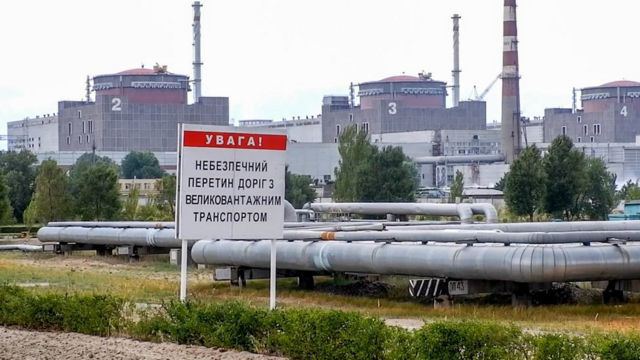 Причиной трех взрывов вблизи ЗАЭС могли стать животные.