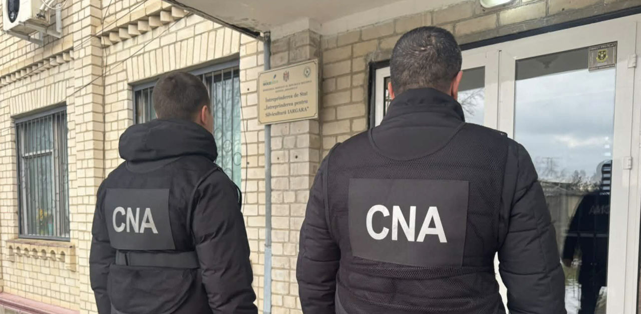 Percheziții într-un dosar de delapidare a patru milioane de lei la întreprinderea silvică Iargara.