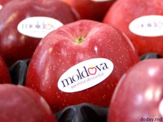 Молдавские компании получат преференции при проведении госзакупок.
