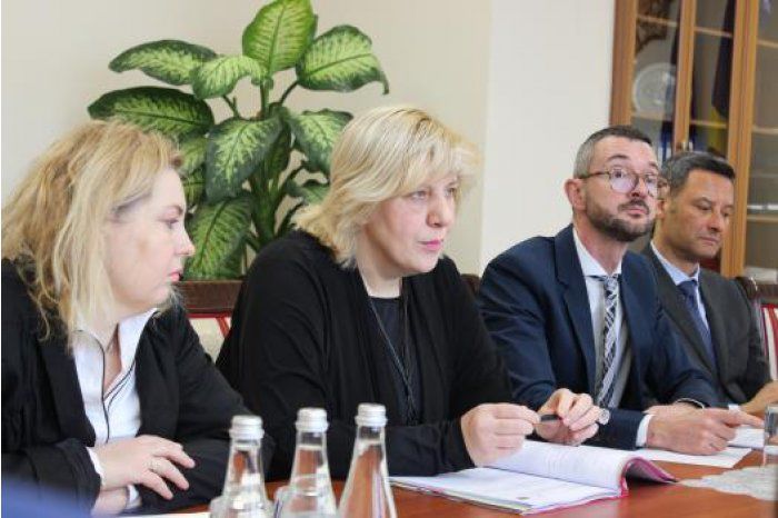 Комиссар по правам человека Совета Европы Дуня Миятович.