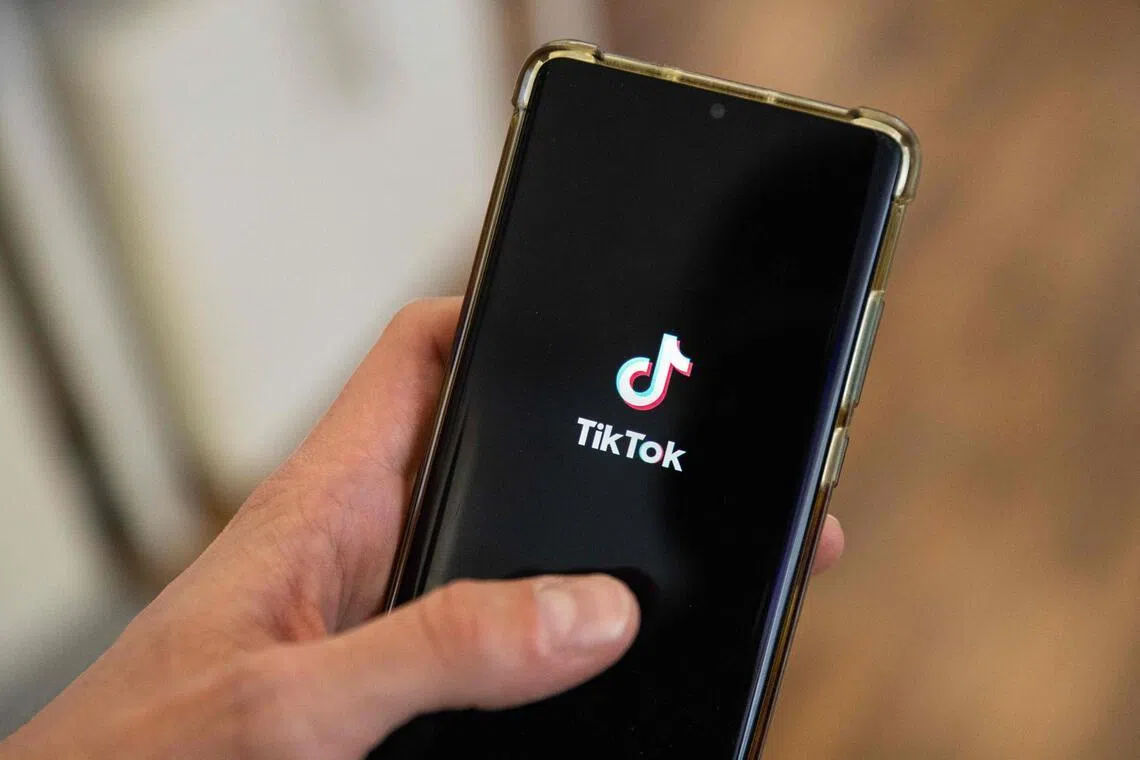В Албании признали неконституционным годовой запрет TikTok.