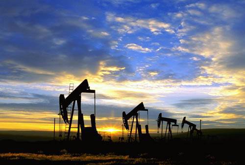 Речь идет либо об реэкспорте, либо о поставках за рубеж сырой нефти, добываемой компанией Valiexchimp на юге Молдовы.  Фото: worldfinancenews.ru