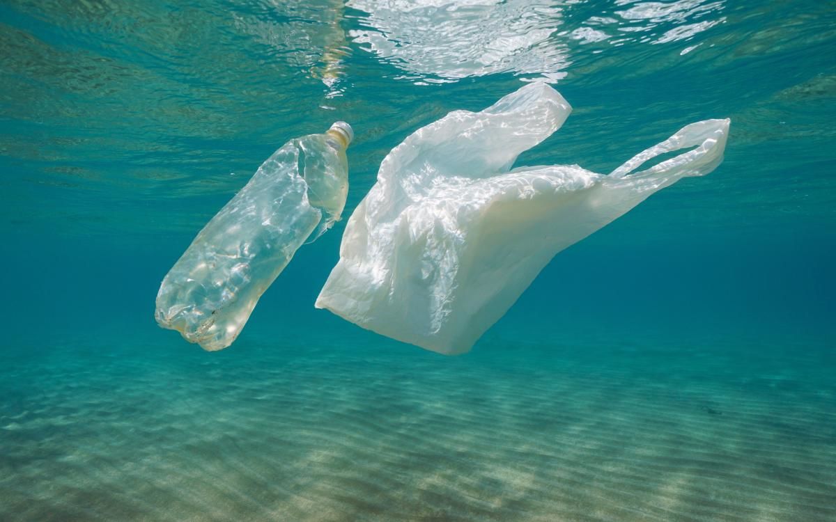В Черном море до 2050 года будет больше пластика, чем рыбы. Фото: unian.net.