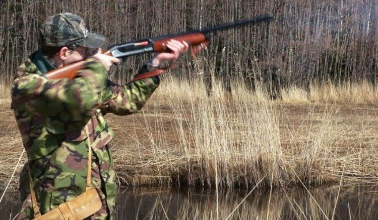 В сезоне 2017-2018 гг. предлагается запретить ведение охоты на все виды дичи.