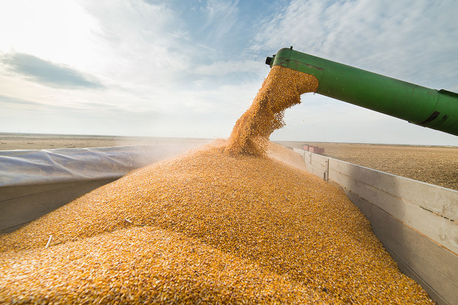 Licențierea importurilor agricole, prelungită.