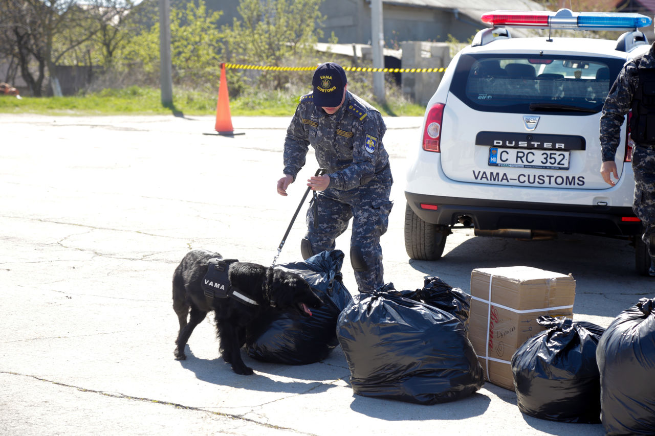 Serviciul vamal şi-a testat capacităţile de reacţie şi antifraud. Foto:customs.gov.md