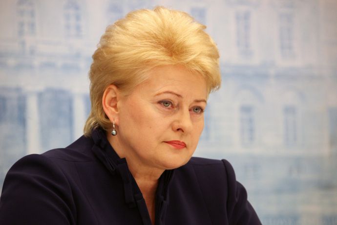 Самолет литовского президента приземлится в Кишиневском аэропорту в 11:00.
