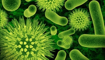 Forma de viață, care atacă protozoare, este infecțioasă, dar inofensivă pentru oameni şi animale.
