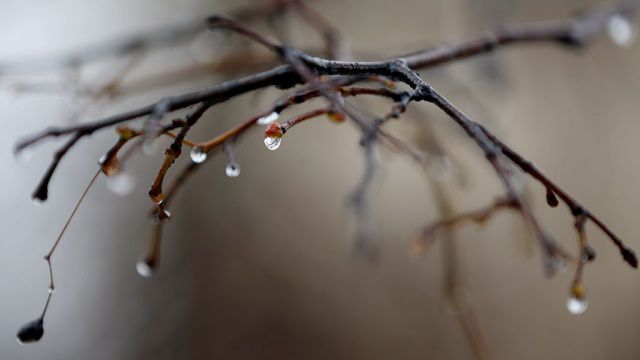 Vremea va fi determinată, astăzi, de influența unei zone de aer cu presiunea atmosferică scăzută. Foto: ntv.ru