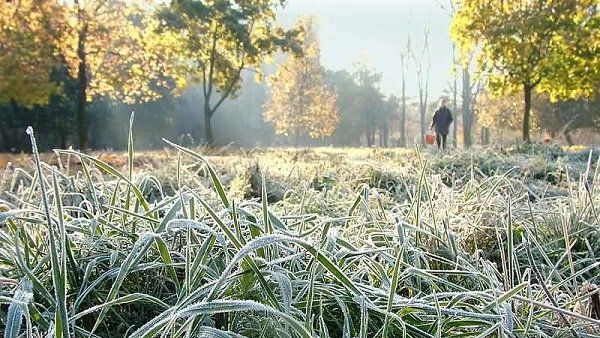 Meteorologii au emis un cod galben de înghețuri în orele dimineții. 