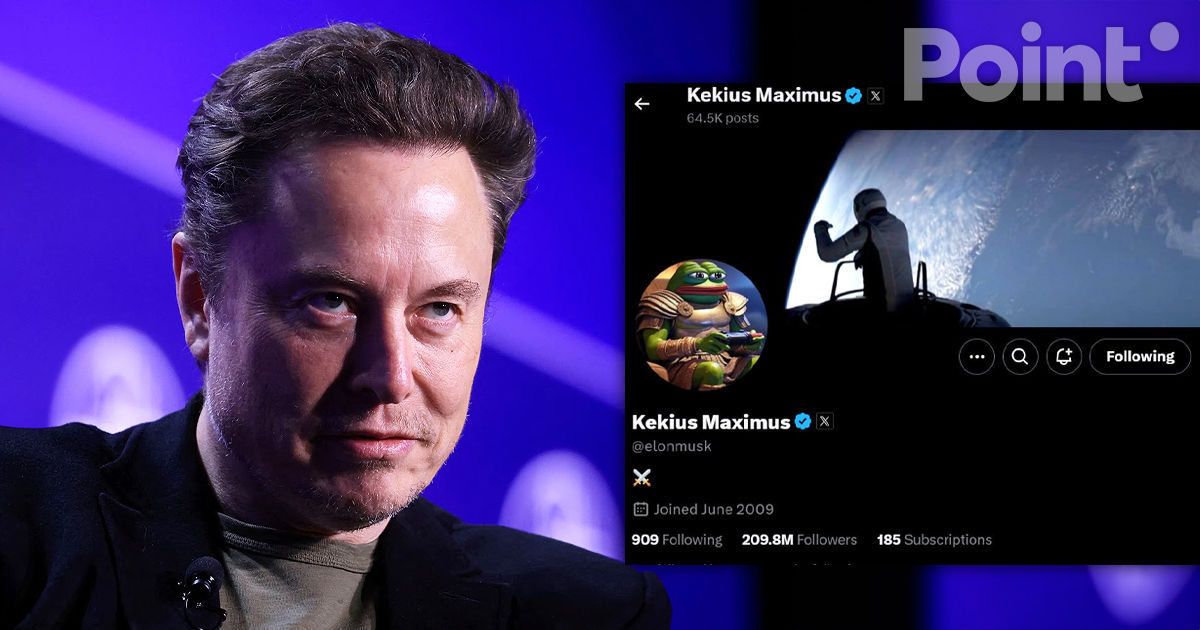 Илон Маск сменил имя в Twitter на Кекиус Максимус.