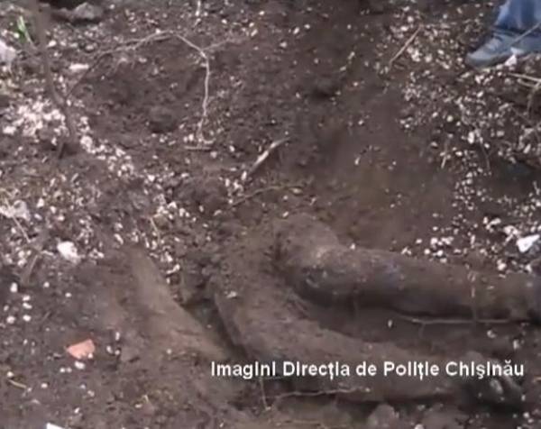 Potrivit poliției, răpirea tânărului a avut loc în seara zilei de 16 august curent şi dus într-o pădure din apropierea oraşului Călăraşi.