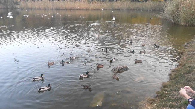 В столице ночью температура воздуха составит минус пять градусов, днем воздух прогреется до +14. Фото: ff.md