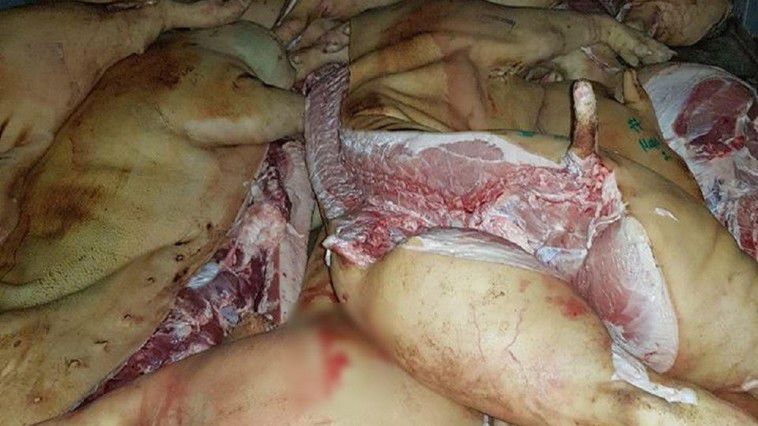 Patru automobile cu carne fără acte, depistate în trafic de oamenii legii. 