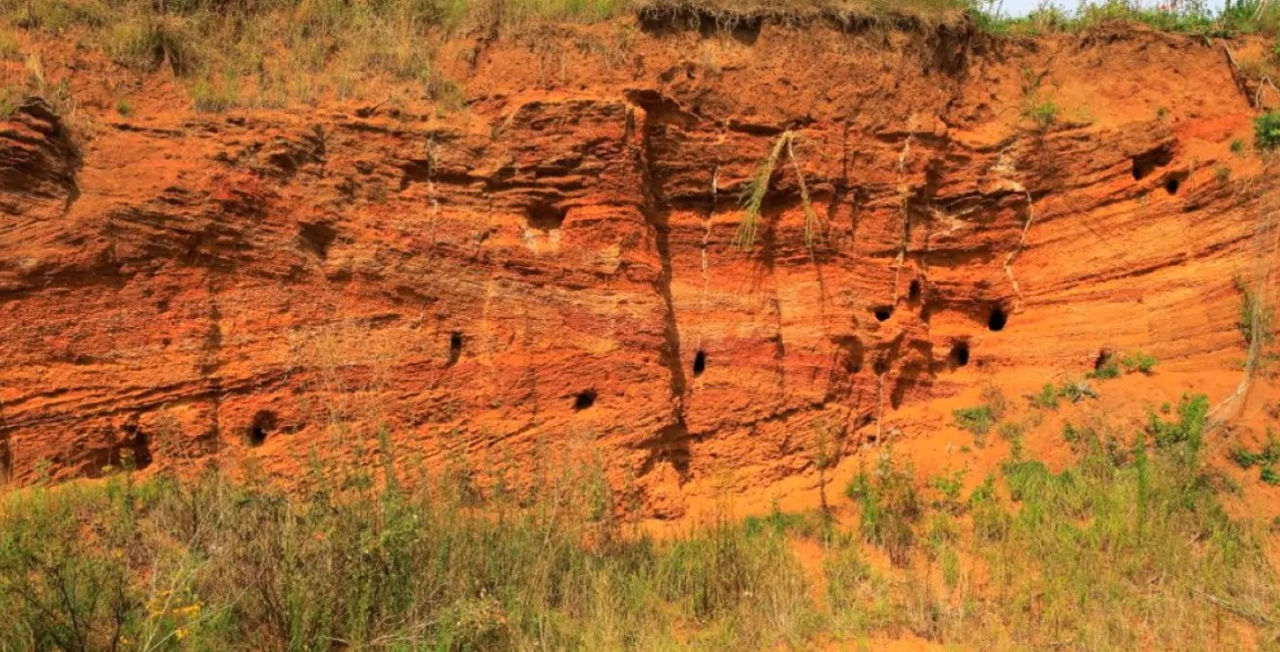 Tuneluri secrete, descoperite în America de Sud: Nu au fost făcute de oameni.