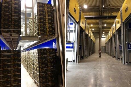 Новый центр созревания бананов открыт в Румынии.