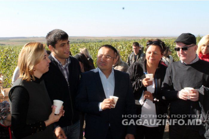 Mai mulţi ambasadori acreditaţi în R. Moldova au fost la cules struguri în UTA Gagauz-Yeri