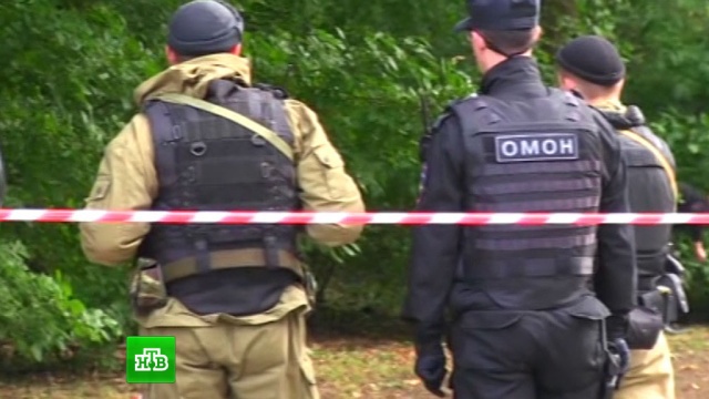 В городе Мамоново Калининградской области саперы обезвредили мост, заминированный немецкими войсками в 1945 году. Фото: ntv.ru