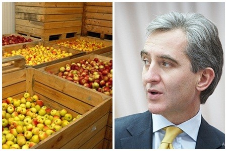 Фермеры намерены привезти сгнившие яблоки и сливы к зданию Правительства РМ.